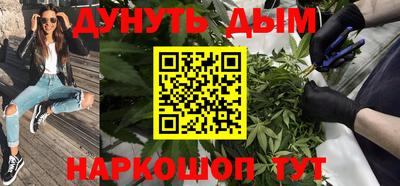сатива Камышлов