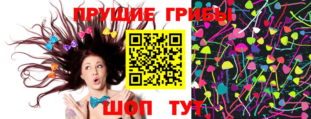 Кыштым  Галлюциногенные грибы Psilocybe  Вход с VPN 